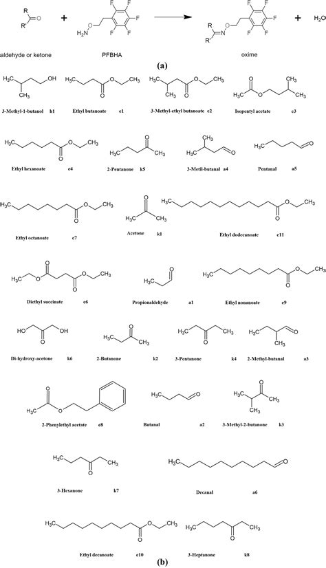 Derivatized Volatile Organic Compound Characterization Of Friulano Wine From Collio Italy