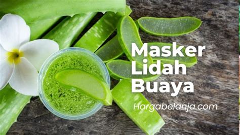 Cara Membuat Masker Lidah Buaya Untuk Memutihkan Wajah