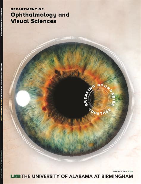 PDF Ophthalmology And Visual Sciences UAB