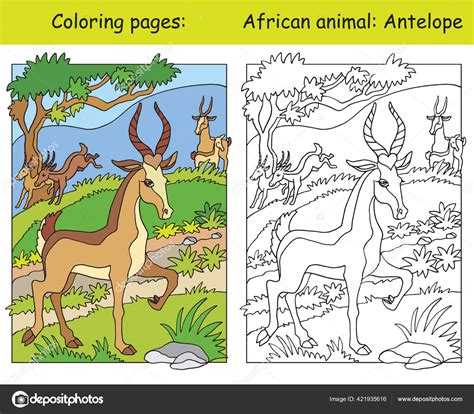 South African Mammals Coloring Pages