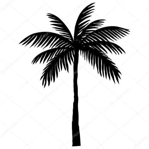 Silhouette Of Palm Trees Stock Vector Korsaralex