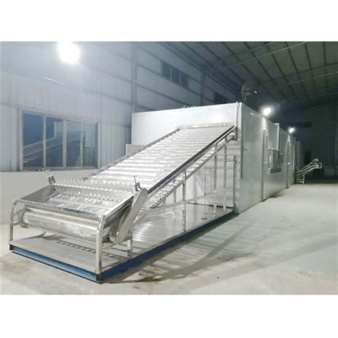 Tunnel Type Continuous Hot Air Conveying Dryer Conveyor Belt Type Vegetable Food Drying Machine