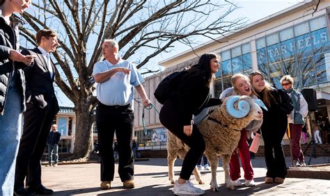 A century of Rameses – The University of North Carolina at Chapel Hill