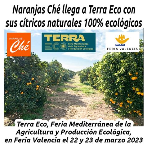 Naranjas Ch Llega A Terra Eco Con Sus C Tricos Naturales