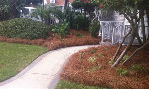 Mulch, Pinestraw Install | Surfside, Forestbrook, Garden City, SC