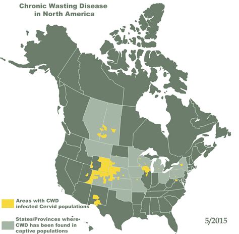 Chronic Wasting Disease in Deer - Colorado