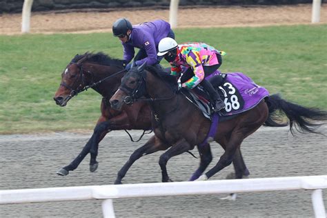 Dpコースで新馬のカルデア（右）と併せて追い切られたサトノグランツ ― スポニチ Sponichi Annex ギャンブル