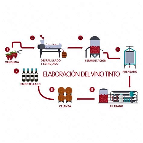 A Diagram Showing The Process Of Making Wine In Different Stages Of