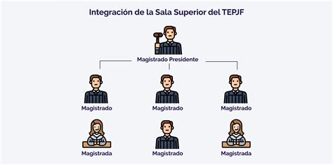 Tribunal Electoral Proceso Electoral