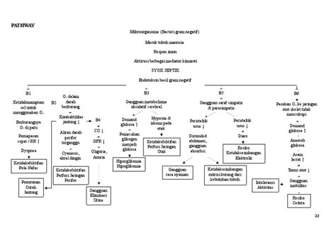 Pathway Syok Sepsis Docx