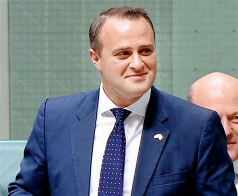 Australian Mp Tim Wilson Proposes To Partner Ryan Bolger In Parliament