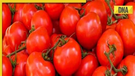 Delhi Ncr News Tomatoes At Discount Price Of Rs Per Kg In These Places