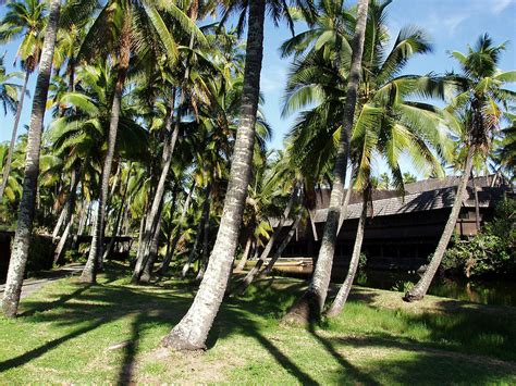 Coco Palms Hotel Kauai Photos - Delan Nelson Photography