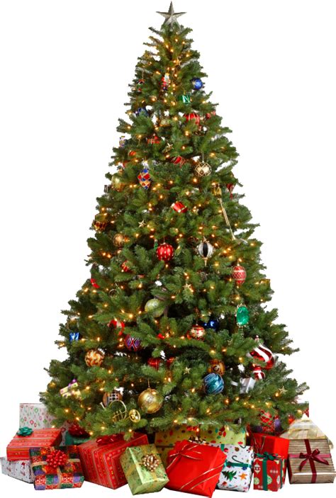 Christmas Tree PNG with Gifts