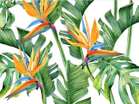 Tropical Flowers wall mural - Nouqoush