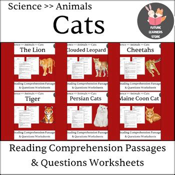 cats reading comprehension passages worksheets bundle  future