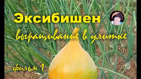 Эксибишен. Вырашивание в улитке 1 фильм - YouTube