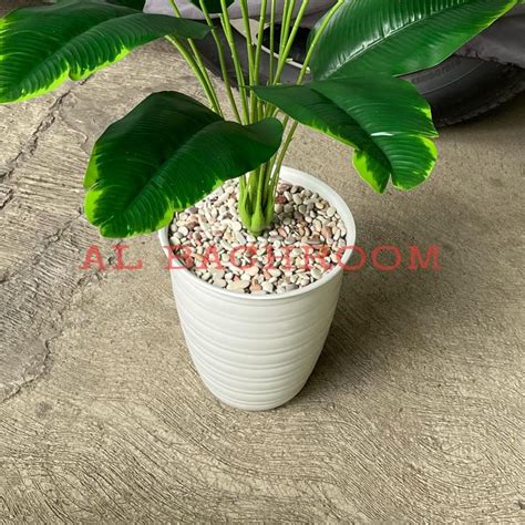 Jual Update 1 PAKET TANAMAN HIAS POHON PISANG ARTIFICIAL DAN POT 20CM