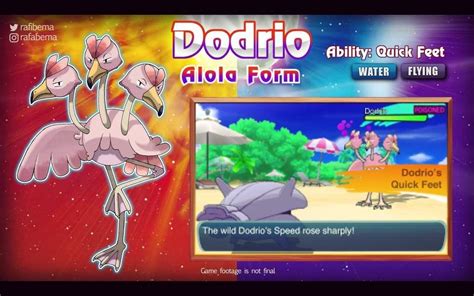 Fake Alolan Forms Pokémon Amino Pokemon Alola Pokemon Pictures