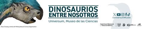 Dinosaurios Entre Nosotros Universum Museo De Las Ciencias De La