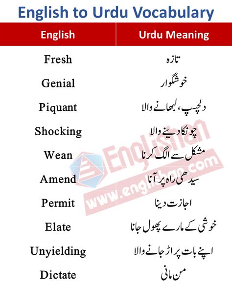 1000 English Words With Urdu Meaning English Vocabulary Words