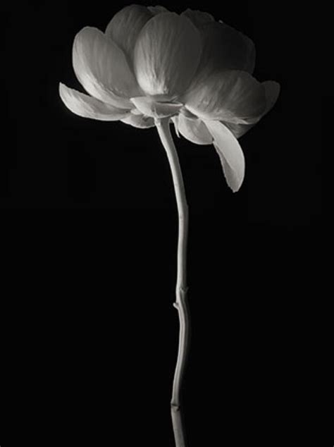 Kenro Izu Séduction The Eye of Photography Magazine