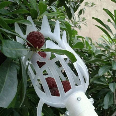 Fruit Picker Head Basket Picking Harvester Horticulture Gardening Tool