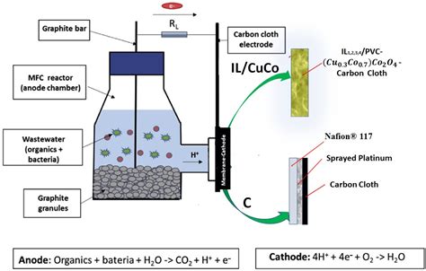 Sustainability Free Full Text Microbial Fuel Cell Using A Novel