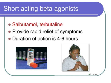 Ppt Asthma Powerpoint Presentation Free Download Id5912662