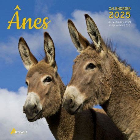 PERIODIQUE CALENDRIER ANES 2025 Cartotheque