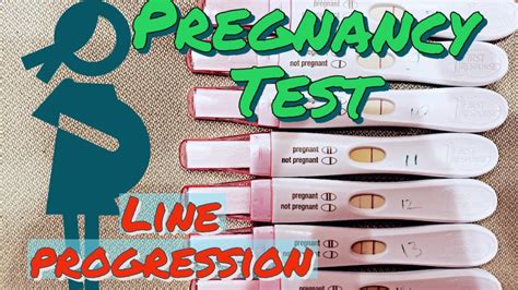 Pregnancy Test Line Progression First Response Easy Home Premom