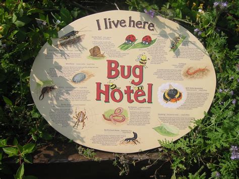 Bug Hotel Insect Hotel Interpretive Signage