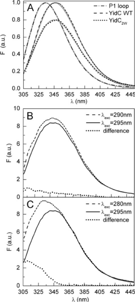 A Normalized Intrinsic Trp Fl Uorescence Spectra Of Wild Type Yidc