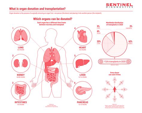 Organ Donation Awareness Campaign Sentinel Diagnostics