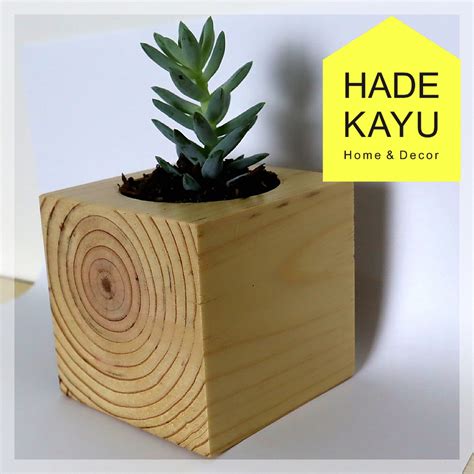 Jual Pot Kayu Untuk Sukulen Succulent Pot Kaktus Dari Kayu Kayu