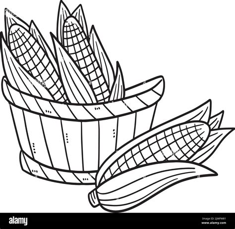 Corn Isolated Coloring Page For Kids Stock Vector Image And Art Alamy