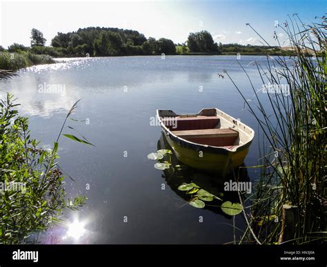 Small Wooden Rowing Boat On Pond Between Reeds And Surrounded By