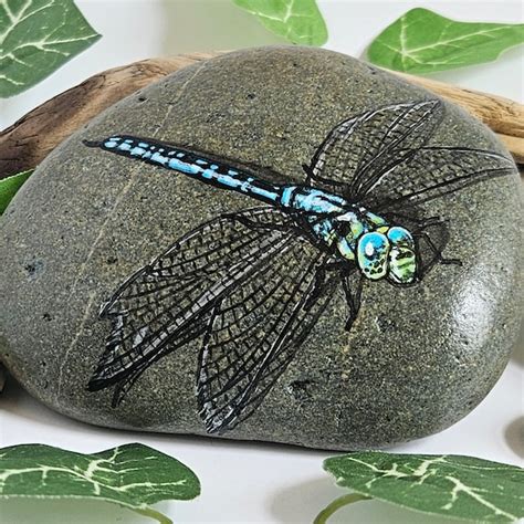 Dragonfly Painted Rock Etsy