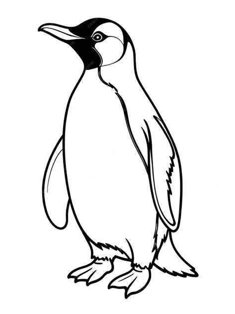 Premium Photo | Outline of a penguin