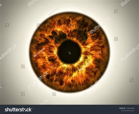 Orange Iris Eye