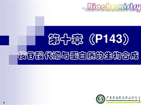 100 第十章 核苷酸代谢与蛋白质的生物合成精简版word文档在线阅读与下载无忧文档