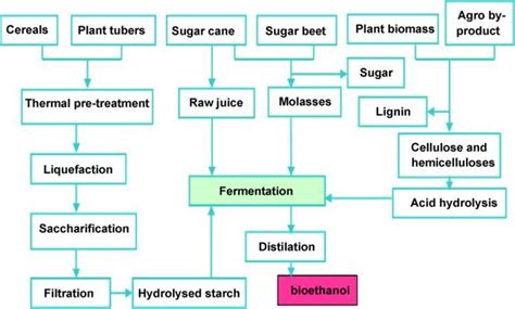 Basic Technology And Main Steps For Production Of Bioethanol Download Scientific Diagram