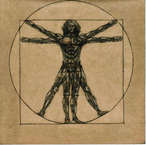 Leonardo Da Vinci Vitruvian Man Drawing