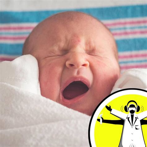 The Naked Scientists Podcast Modelling And Microbes Science Of Birth Podcast Episode 2019