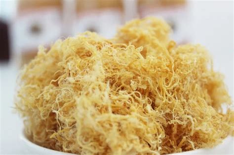 Rousong - Snack Food For Bread- Vietnam Meat Floss Whatsapp +84 845 639 639 - Buy Pork Floss ...