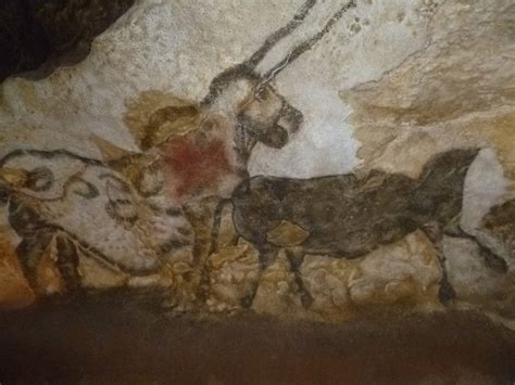 Lascaux Cave | The Brain Chamber