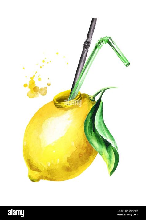 Natural Organic Lemon Juice Watercolor Hand Drawn Illustration Stock