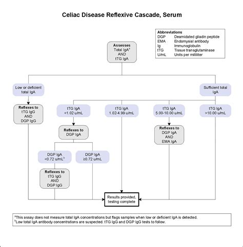 Celiac Disease Reflexive Cascade, Serum | Test Fact Sheet