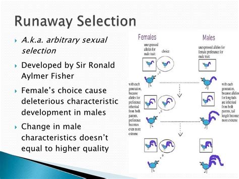 Sexual Selection