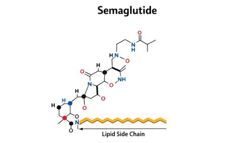 semaglutide mechanism effects  risks safepeptides